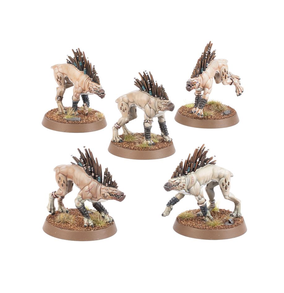 Kroot Hounds